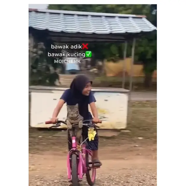 6 Potret Kucing Dibonceng Pakai Sepeda Ini Bikin Gemas, Anteng Banget