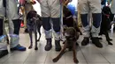 Anggota tim SAR Ceko beserta anjing pelacak tiba di bandara Vaclav Havel di Praha, Rabu (5/8/2020). Republik Ceko mengirimkan sekitar 37 personel dan lima ekor anjing pelacak untuk membantu pencarian korban ledakan dahsyat di Beirut, Lebanon. (AP Photo/Petr David Josek)