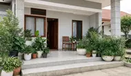 7 Kesalahan Menaruh Pot Tanaman yang Bikin Teras Berantakan dan Kehilangan Estetika