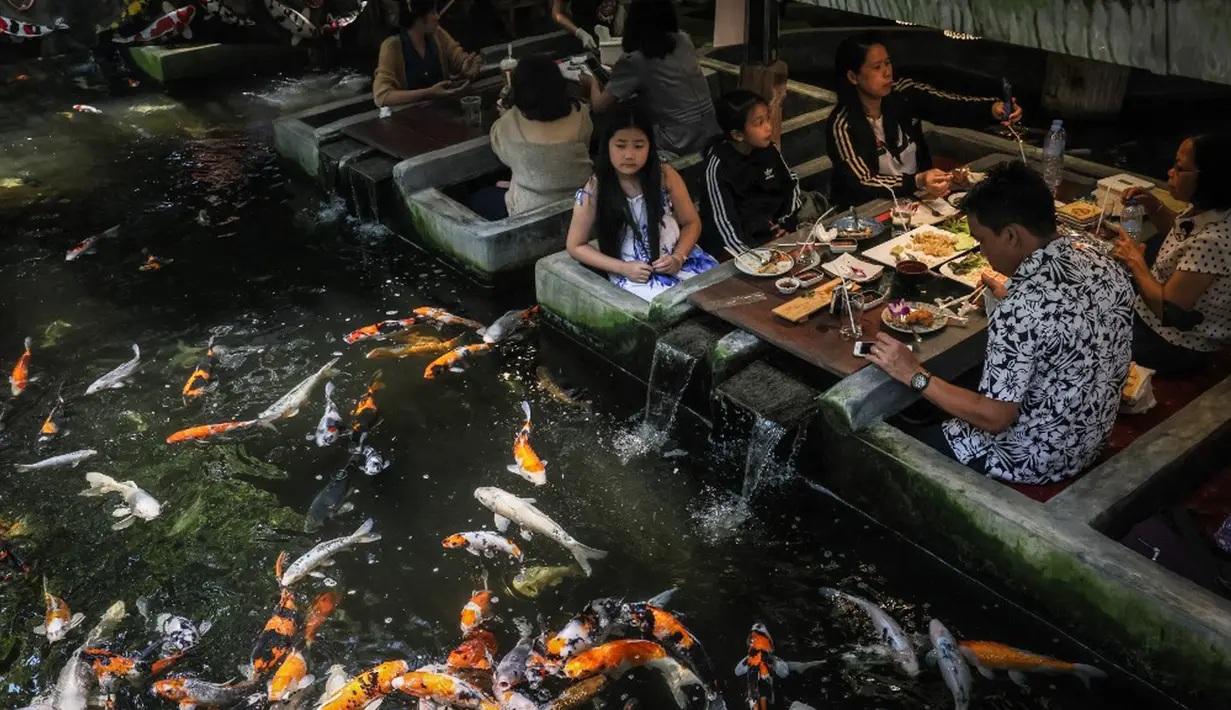 Pengunjung melihat ikan mas berenang di restoran bertema ikan di Chiang Mai, Thailand, Selasa (12/4/2022). (Jack TAYLOR/AFP)