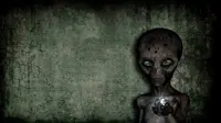 Agar Pahami UFO, Ilmuwan Rusia Pelajari Bahasa Lumba-Lumba 