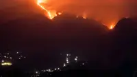 Kebakaran di Gunung Merbabu Semakin Meluas (Dok. Instagram/@yohanrineko)