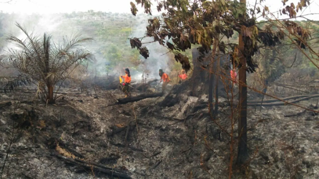 Karhutla Riau