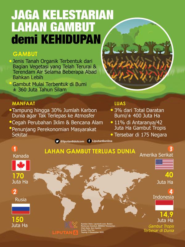 Infografis Jaga Kelestarian Lahan Gambut demi Kehidupan. (Liputan6.com/Triyasni)