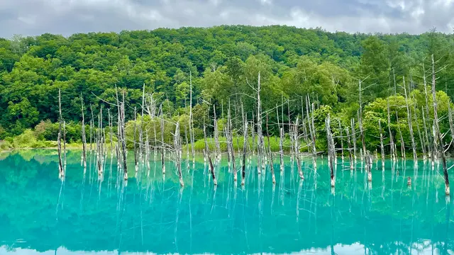 Blue Pond