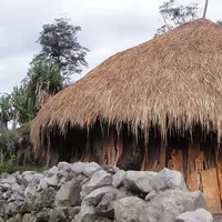 Mengenal Honai, rumah tradisional suku Dani di Papua.