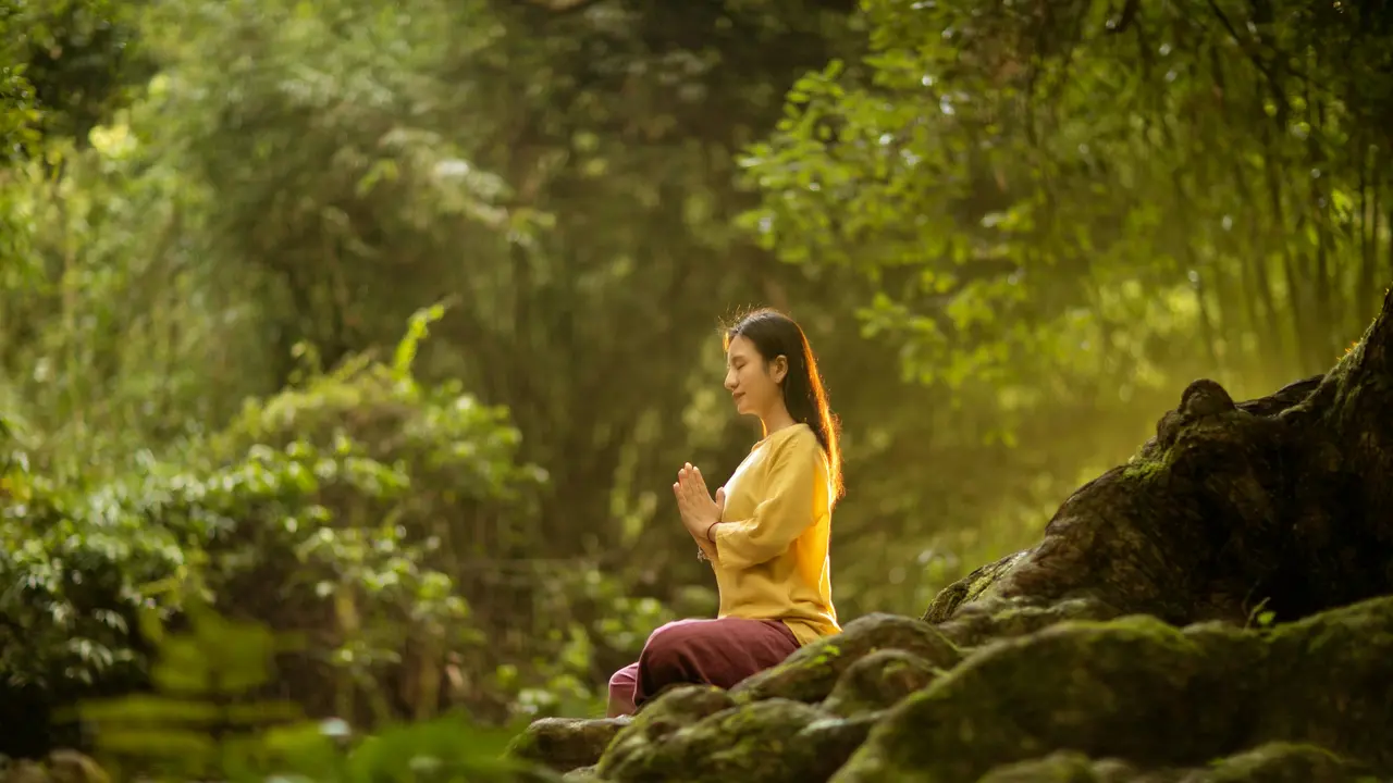 forest bathing