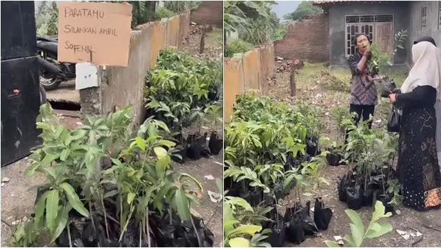 Viral Pengantin Beri Bibit Tanaman Sebagai Souvenir Nikahan, Dijadikan Inspirasi