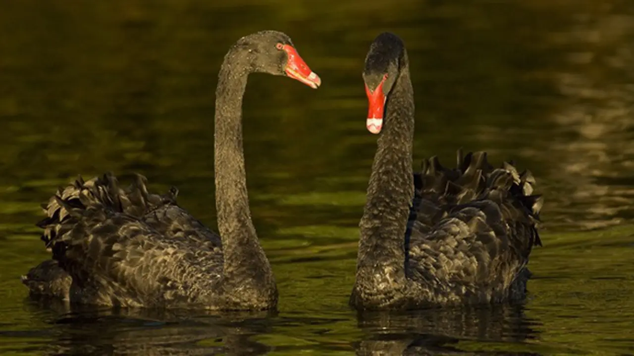 Photo: Copyright drewfilton.com