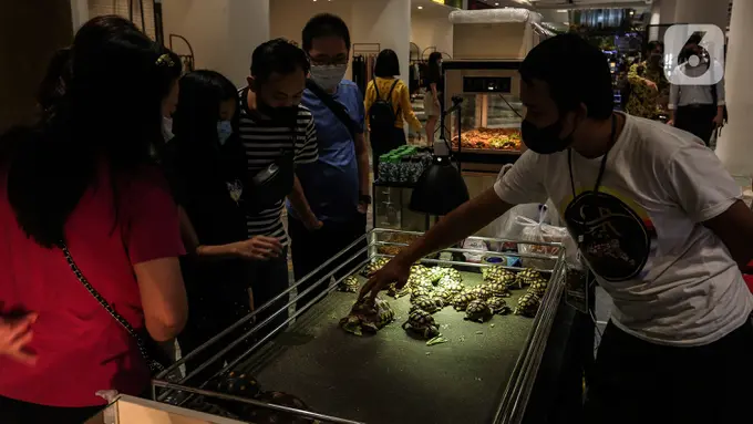 Cara Mengatasi Phobia Reptil pada Anak, Pahami Ketakutan Berlebihan yang Mengganggu