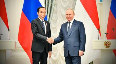 Presiden Jokowi Bertemu Vladimir Putin