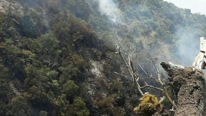 Kebakaran di Gunung Slamet. (Foto: Liputan6.com/Perhutani/Muhamad Ridlo)