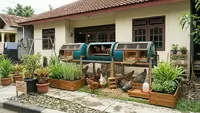 Cara Membuat Kandang Ayam Berputar dari Drum Bekas, Solusi Hemat Peternak Rumahan