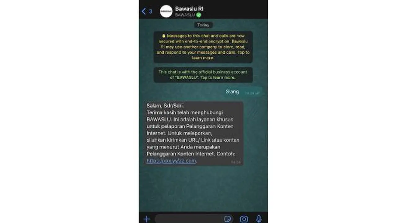 Chatbot Resmi Pilkada 2020 besutan Bawaslu dan WhatsApp. Dok: WhatsApp