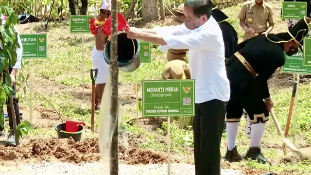 Presiden Jokowi
