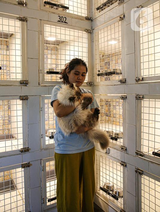 Karyawan menggendong kucing di tempat penitipan kucing Arnamir. (Liputan6.com/Faizal Fanani)
