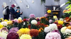 Orang-orang mengabadikan foto bunga krisan di sebuah pameran di Beijing World Flower Wonderland Park di Beijing, ibu kota China, pada 3 November 2020. (Xinhua/Ren Chao)