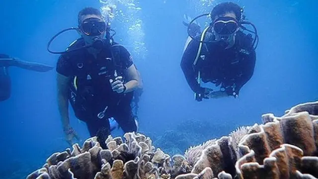 Menkes Singapura Terpesona Keindahan Bawah Laut Labuan Bajo, Menyelam Ditemani Sandiaga Uno