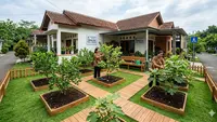 7 Ide Kebun Buah Mini untuk Ibu-Ibu PKK: Solusi Produktif Lahan Terbatas