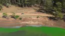 Kelompok bakteri yang juga dikenal sebagai sianobakteri atau ganggang biru-hijau ini sering ditemukan di danau. Cyanobacteria memiliki ciri dapat berfotosintesis dengan menyerap cahaya matahari dan menghasilkan klorofil, yaitu pigmen yang memberikan warna hijau pada daun. (JUAN MABROMATA/AFP)