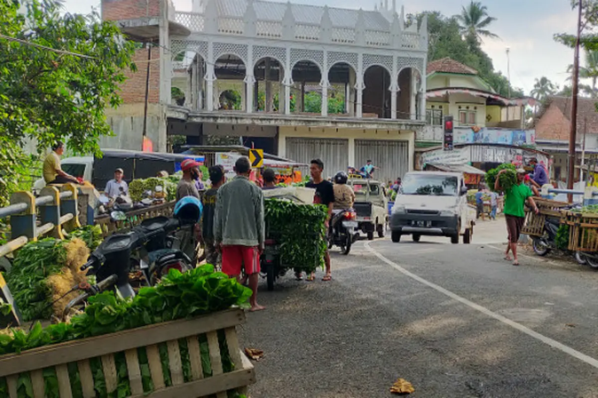 Di Balik Aksi Pedagang Sayur Bagi - bagi dan Buang Dagangan di Malang