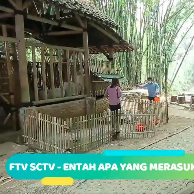 Kompilasi Lima Judul Ftv Sctv Paling Lucu Showbiz Liputan6 Com