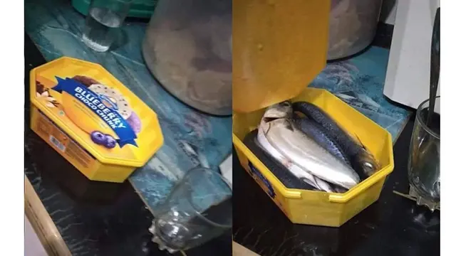 6 Potret Es Krim Tak Sesuai Ekspektasi Ini Bikin Kecewa