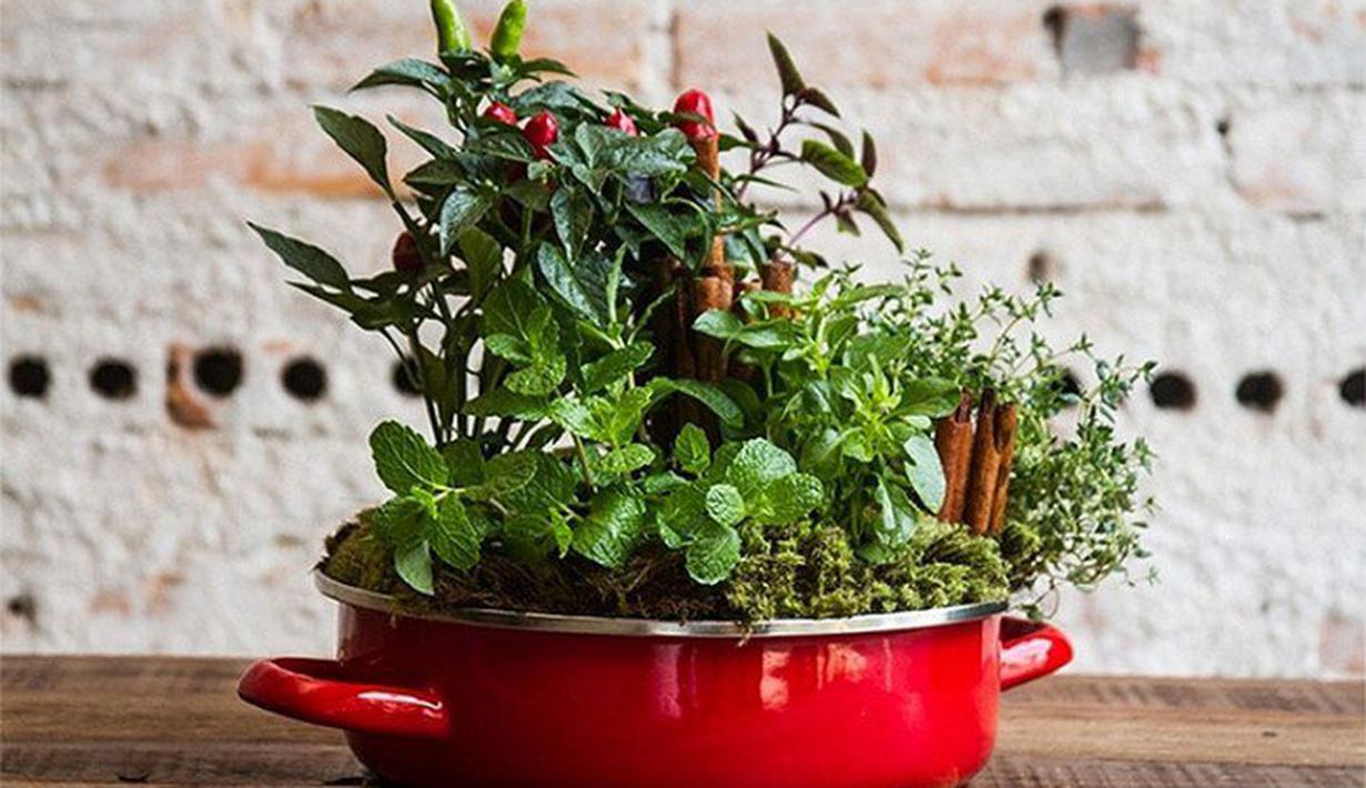 9 Ide Unik & Kreatif Pot Bunga Untuk Taman Kecil Di Rumah ...