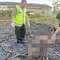 Polisi olah TKP atas meninggalnya petani yang tubuhnya terbakar. (Liputan6.com/ Dok Ist)