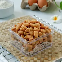 Biji ketapang./Copyright shutterstock.com/g/Evy+Alisha