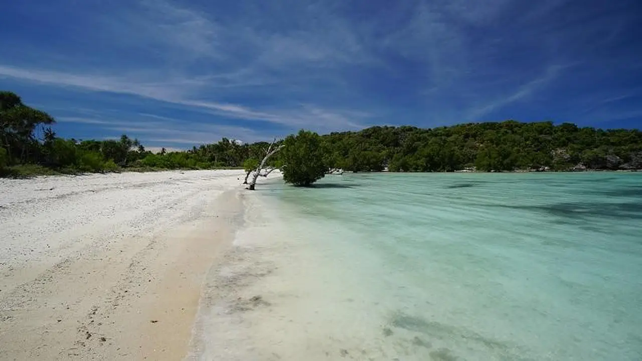 [Bintang] Nusa Tenggara Timur