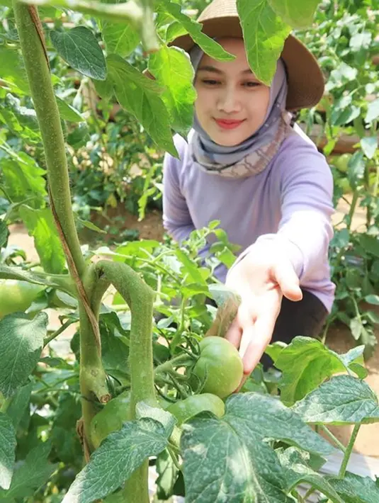 Melody Eks JKT48 adalah seorang selebriti yang berasal dari Bandung yang kuliah pada jurusan Agroteknologi di Fakultas Pertanian Universitas Padjadjaran dan lulus pada 11 Agustus 2016. (Liputan6.com/IG/@melodylaksani92)