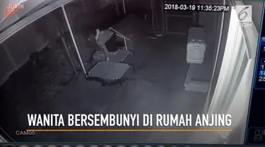 Seorang wanita melarikan diri dari polisi dengan bersembunyi di sebuah rumah anjing.