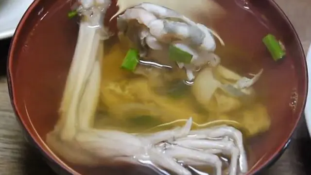 Berani Cicipi Sashimi dari Kodok Hidup?