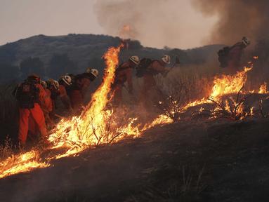 Personel dari tim pemadam berusaha memadamkan kebakaran yang disebut sebagai Canyon Fire pada Kamis 7 Agustus 2025 waktu setempat, di Halsey Canyon, California, Amerika Serikat. (AP Photo/Marcio Jose Sanchez)
