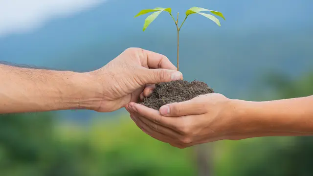 Conservation
