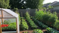 8 Ide Belakang Rumah yang Bisa Menjadi Sumber Sayur Harian, Solusi Kebun Sehat di Lahan Sempit