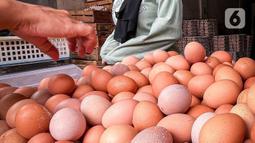 Seorang pembeli memilih telur pada agen telur di Tangerang, Banten, Selasa (8/3/2022). Menurut pedagang,  pekan ini harga telur ayam ras mengalami kenaikan dari harga Rp19 ribu menjadi Rp24 ribu per kilogram. (Liputan6.com/Angga Yuniar)