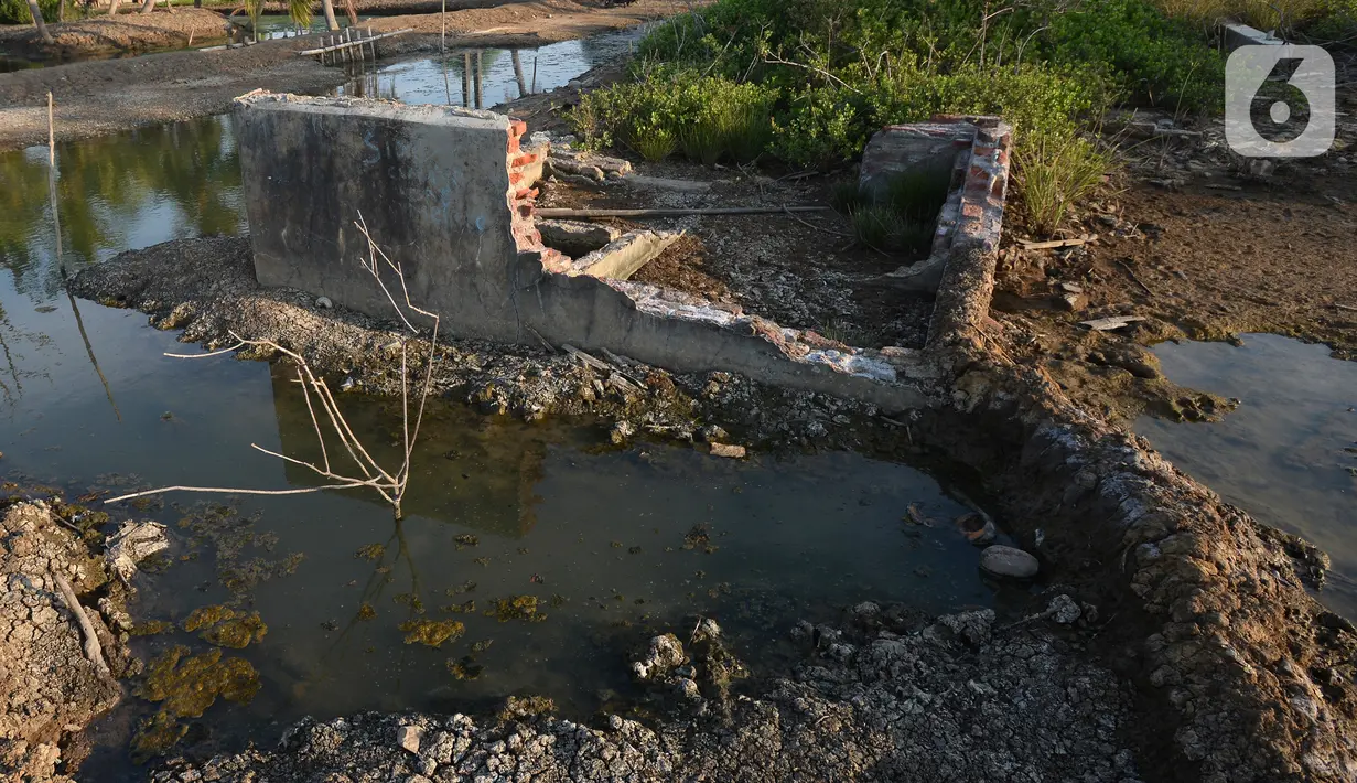 Foto udara suasana Kampung Beting, Desa Pantai Bahagia, Kecamatan Muara Gembong, Bekasi, Jawa Barat, Sabtu (28/8/2021). Menurut penelitian jurnal Environmental Research Letters, kepulauan ini telah mengalami kenaikan air laut selama lebih dari dua dekade. (merdeka.com/Imam Buhori)