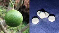 Vitamin dan Suplemen, Dokter Jelaskan Perbedaan dan Cara Konsumsinya
