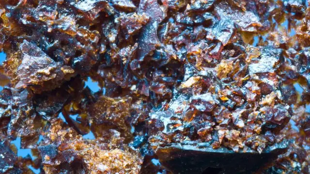 Kamebishi Soy Salt (Mark Bitterman/thedailymeal.com)