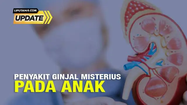 Ikatan Dokter Anak Indonesia (IDAI) menyebut terjadi lonjakan kasus gangguan ginjal akut misterius dalam dua bulan terakhir. Akumulasi kasus dari Januari hingga akhir September di Indonesia ada lebih dari 100 anak di Indonesia yang mengalami kondisi ...