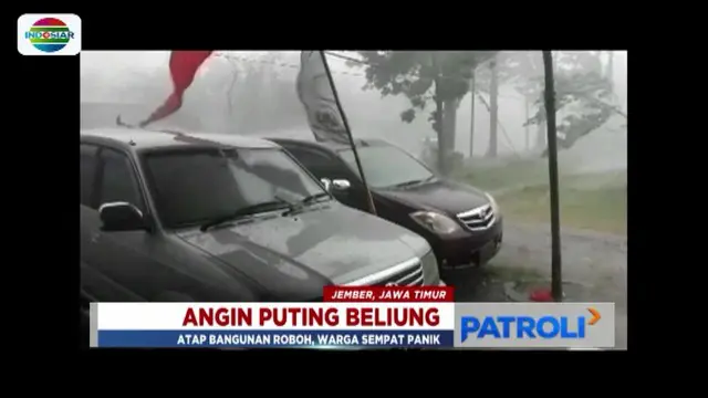 Hujan kencang membuat pohon tumbang hingga jalur utama penghubung Jember-Banyuwangi macet.