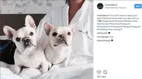Unik, khusus untuk tamu yang sedang kesepian sebuah hotel di San Fransisco pinjamkan anjing peliharaan. (Foto: instagram @hotelnikkosf)