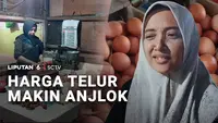 Harga Telur Makin Anjlok
