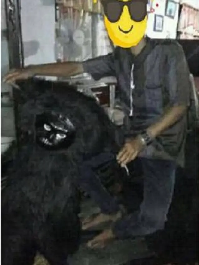 6 Potret Motor Berbulu Ini Jadi Pusat Perhatian di Jalan Raya, Nyentrik