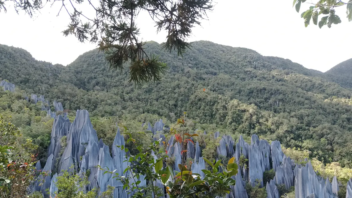 Berita fakta menarik Gunung Api Hari Ini - Kabar Terbaru Terkini ...