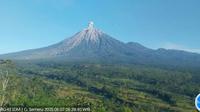 Gunung Semeru erupsi lima kali, dengan tinggi letusan mencapai 900 meter (Istimewa)