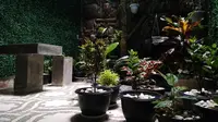 5 Teknik Praktis Menanam Sayur di Kebun Mini, Panen Maksimal di Lahan Sempit