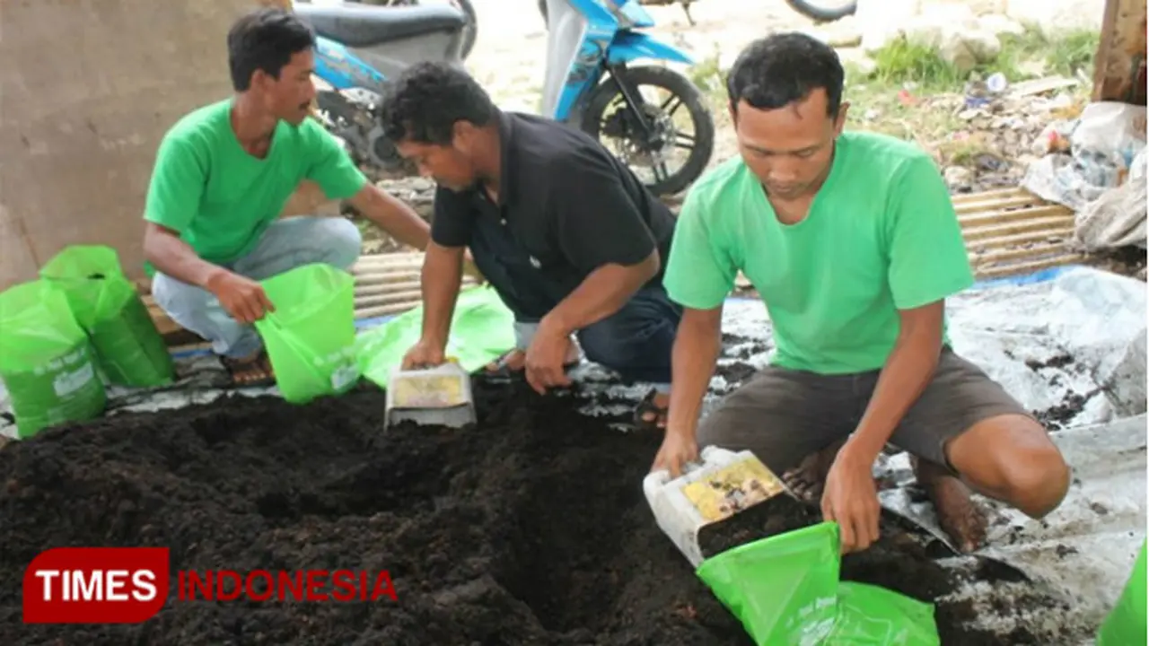 Pemuda di Gresik ini Ubah Kotoran Manusia Jadi Pupuk